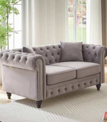 Velvet Loveseat Sofa
